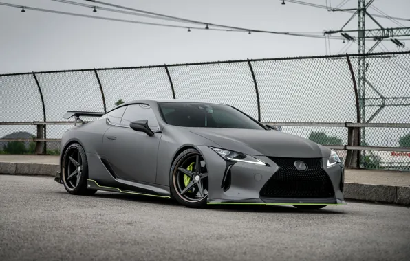 Picture Lexus, Vossen, Work Series
