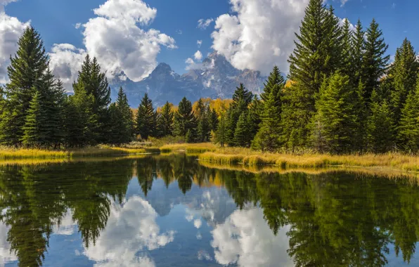 Picture the sky, water, the sun, clouds, trees, mountains, reflection, USA, forest, Grand Teton, Grand Teton …