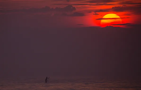 Picture sea, wave, the sun, sunset, France, France, surfer, serving