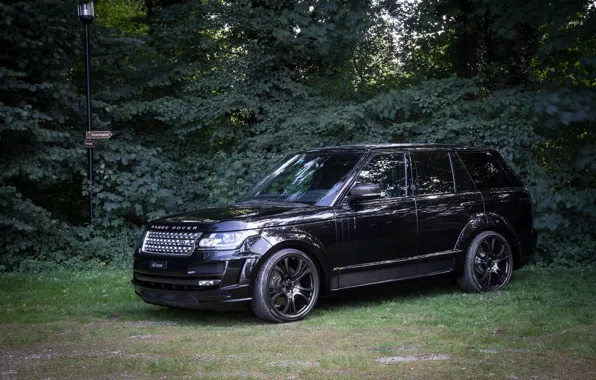 Picture Design, Rover, FAB, Range, Noreia