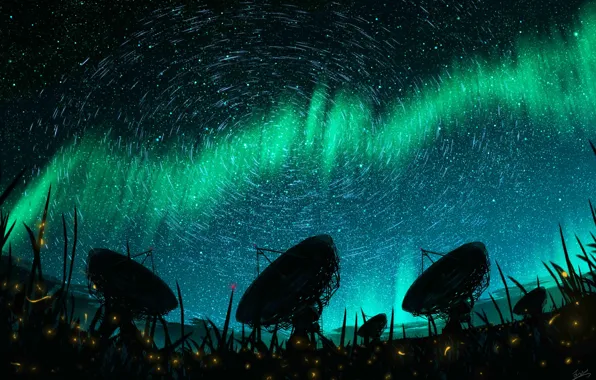 Picture the sky, grass, night, fireflies, Northern lights, radio telescopes