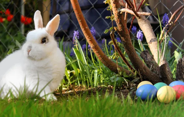Picture grass, branches, holiday, glade, Bush, eggs, spring, garden