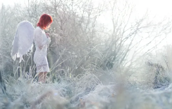 Picture girl, nature, angel