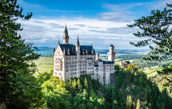 Picture forest, mountains, castle, view, height, Germany, Bayern, architecture, Neuschwanstein