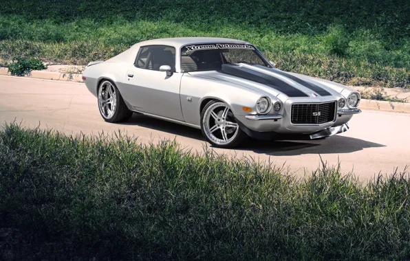 Picture grass, Chevrolet, silver, Camaro, Chevrolet, Camaro, silvery, 434