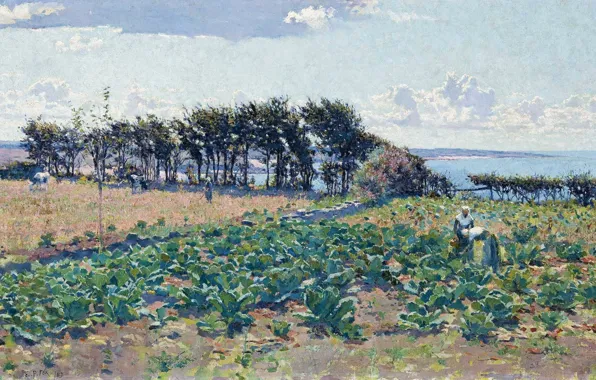 Picture landscape, picture, Emanuel Phillips Fox, A Bed Of Cabbage