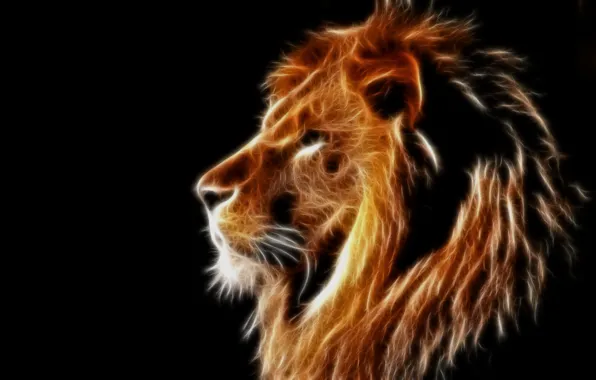 Picture Leo, mane, profile, black background