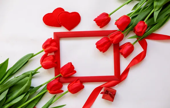 Picture white, background, gift, frame, tulips, red