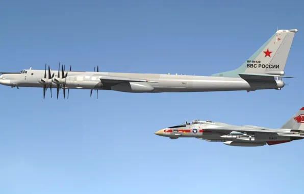 Picture fighter, bomber, missile, jet, dimensions, strategic, Tomcat, double, turboprop, Tu-95, Grumman F-14, "Tomcat"