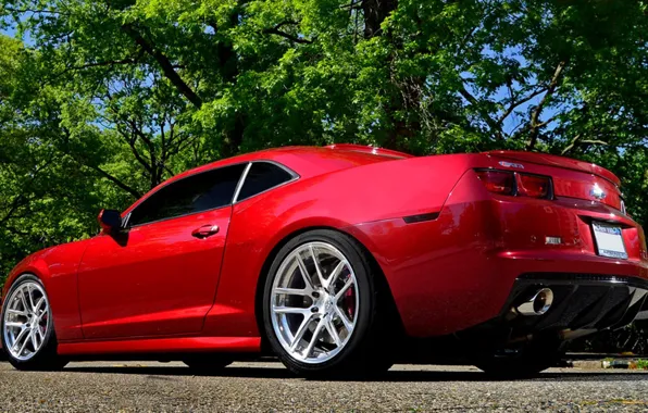 Picture auto, red, camaro, chevrolet