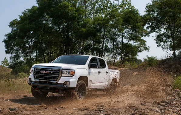 Picture trees, movement, dirt, pickup, GMC, Crew Cab, Canyon, AT4, 2020, 2021, Off-Road Performance Edition