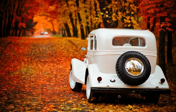 Picture autumn, Park, background, Wallpaper, Gas, emka