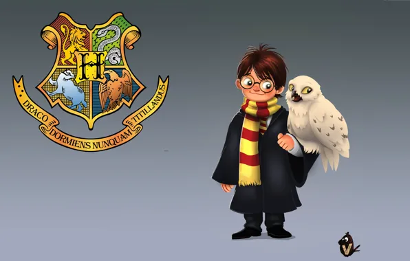 Picture art, Harry Potter, children's, snowy owl, Vipin Jacob, Hedwig, Harry and Hedwig, Hedwig, Hedwig