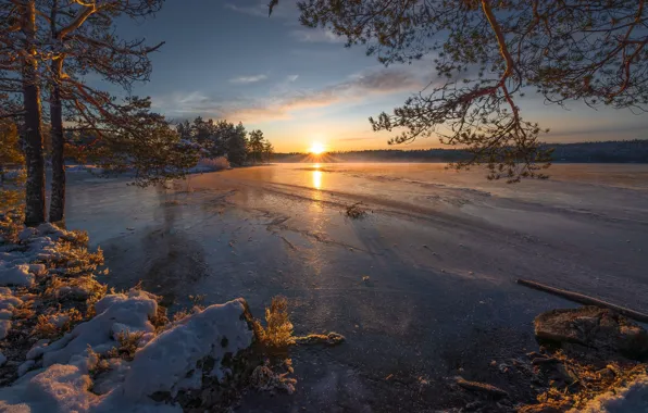 Picture winter, the sky, landscape, nature, morning, frost
