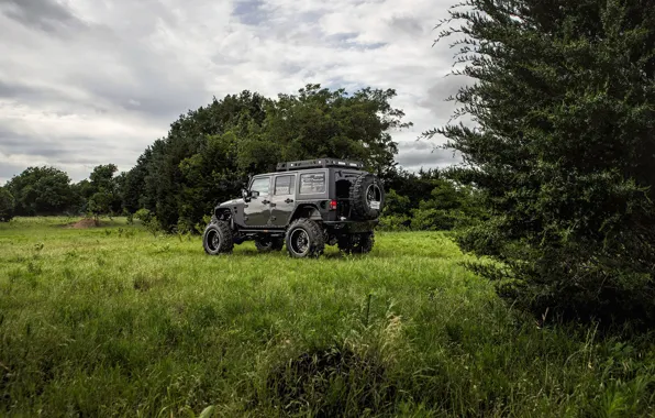 Picture jeep, jeep, wrangler, Wrangler, unlimited