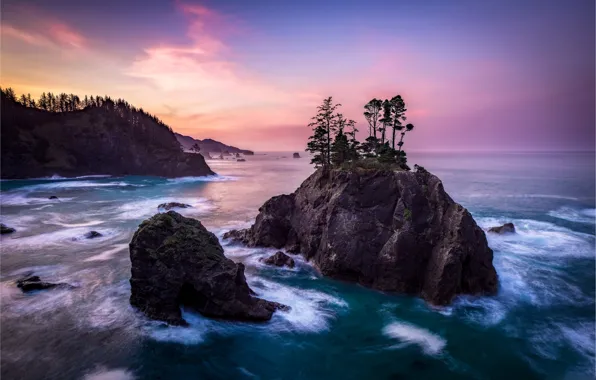 Picture the sky, trees, the ocean, rocks