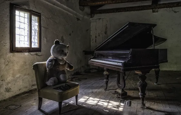 Picture bear, chair, piano