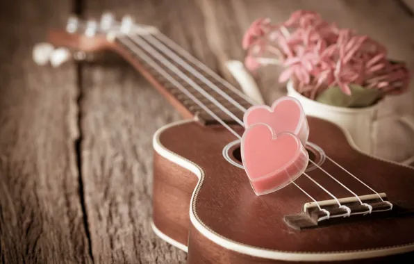 Picture flowers, heart, guitar, love, vintage, heart, romantic