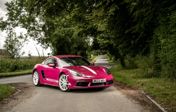 Picture Porsche, Cayman, 718, Porsche 718 Cayman Style Edition