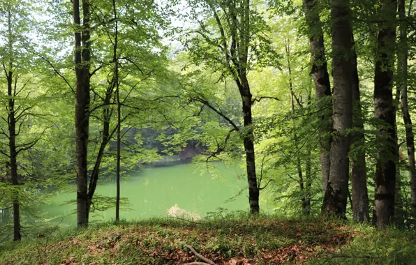 Picture Azerbaijan, Ismailinsky district, Garanohur Lake