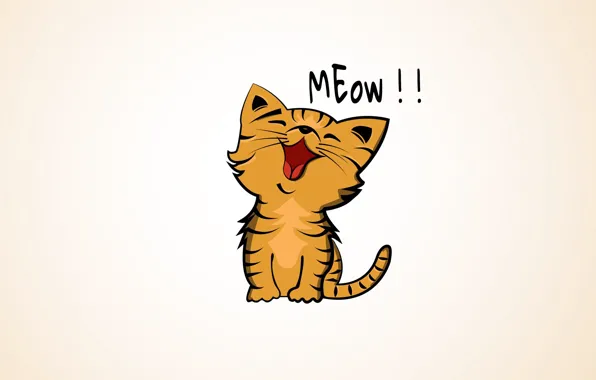 Picture cat, kitty, meow