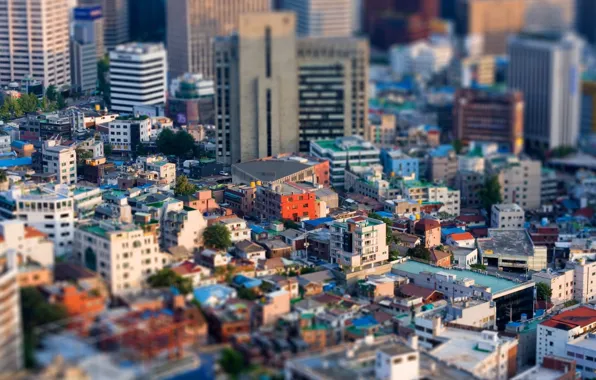 Picture roof, the city, home, pool, skyscraper