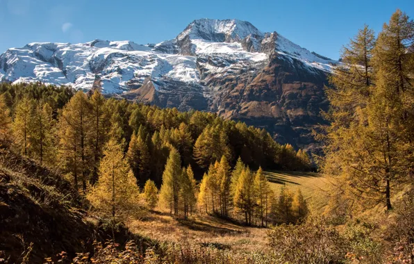 Picture autumn, forest, the sky, the sun, trees, mountains, rocks, France, Le Monal