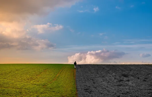 Picture field, the sky, earth, people