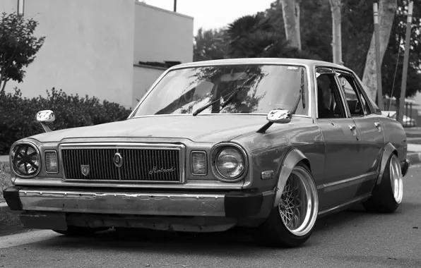 Picture nissan, Nissan, racer, datsun, Datsun, racer