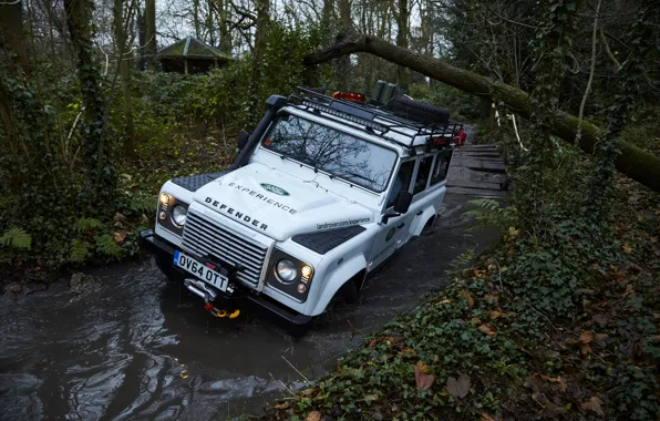 Picture SUV, Land Rover, Defender, 2015