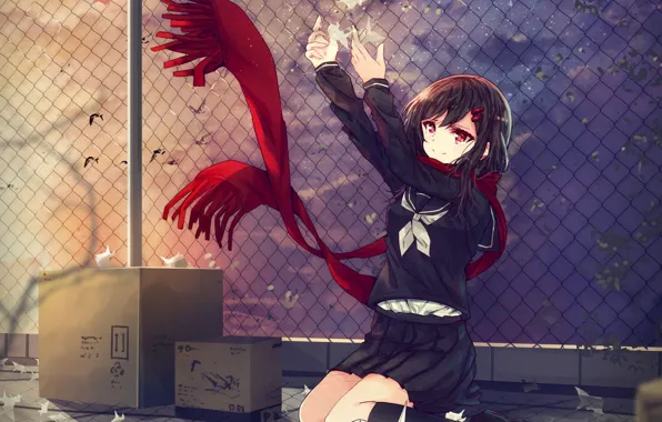 Picture girl, sunset, anime, scarf, art, origami, kagerou project, ayano tateyama, Mekakucity Actors, daikazoku63