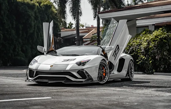 Picture Lamborghini, Aventador, Lp700-4, 33