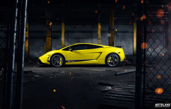 Picture Lamborghini, Superleggera, Gallardo, Yellow
