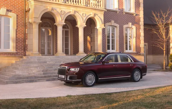 Picture Sedan, 2019, Aurus, Senate