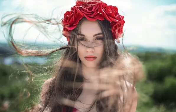 Picture girl, the wind, hair, Maxim Tumanov