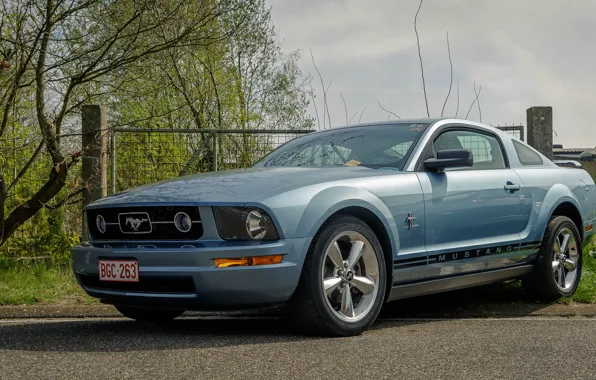 Picture Mustang, Ford, Sky, Blue