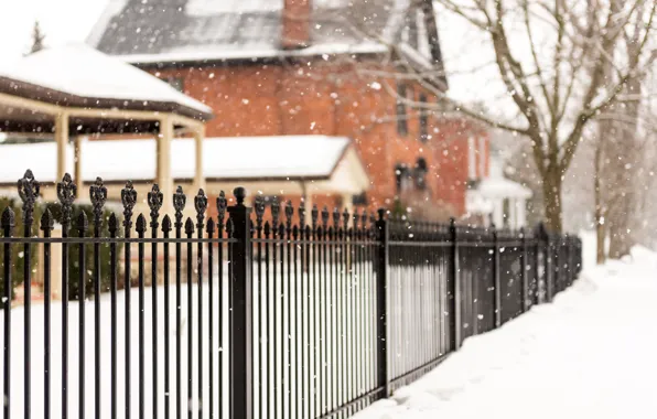 Picture winter, snow, trees, snowflakes, nature, the fence, home, fence, metal