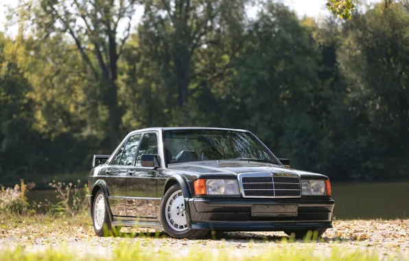 Picture EVO, W201, Mercedes - Benz, 190E 2.5 16