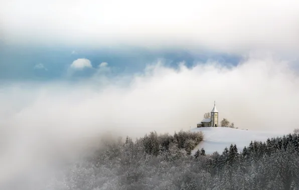 Picture winter, nature, fog
