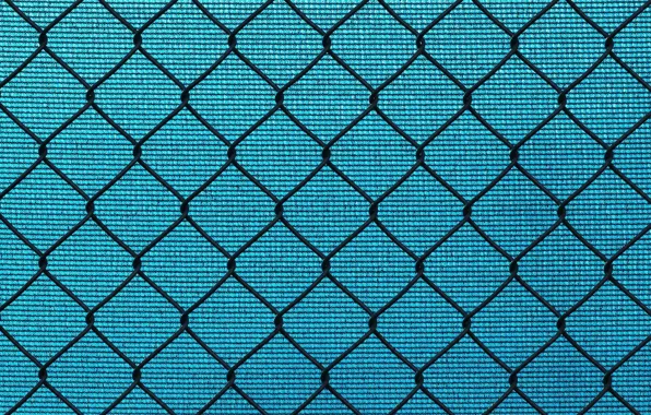 Picture background, mesh, texture, netting