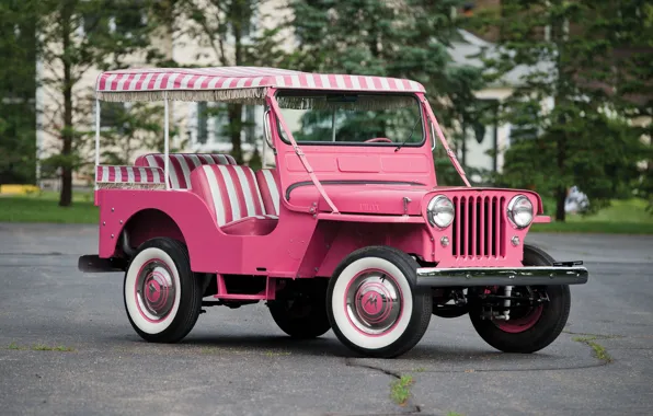 Picture 1960, jeep, gala, surrey, willys