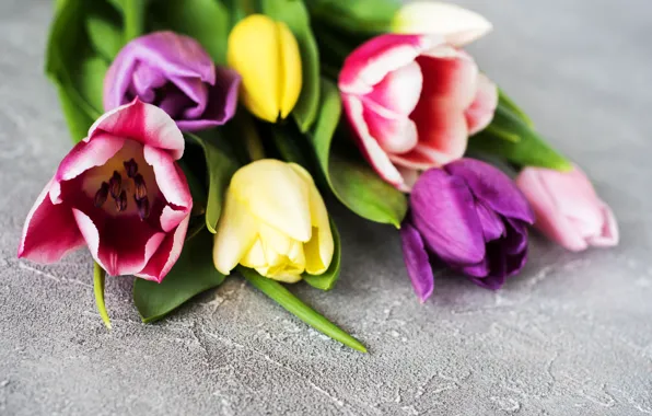 Picture flowers, bouquet, colorful, tulips, wood, flowers, tulips, spring