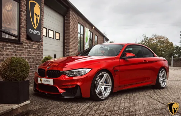 Picture BMW, Evolution, Line, F82, Akrapovic