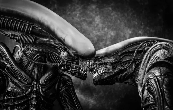 Picture love, background, kiss, others, monsters, aliens