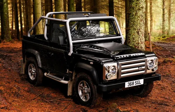 Picture forest, 2008, Land Rover, Defender, SVX, 60th Anniversary Edition