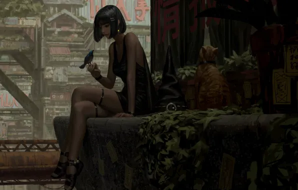 Picture cat, girl, animal, art, bird, GUWEIZ