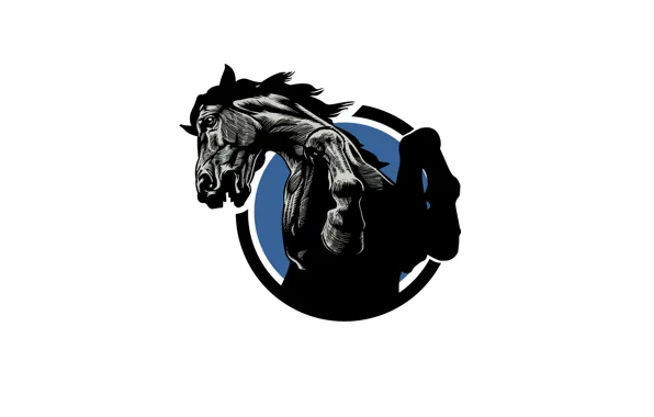 Picture horse, horse, hooves