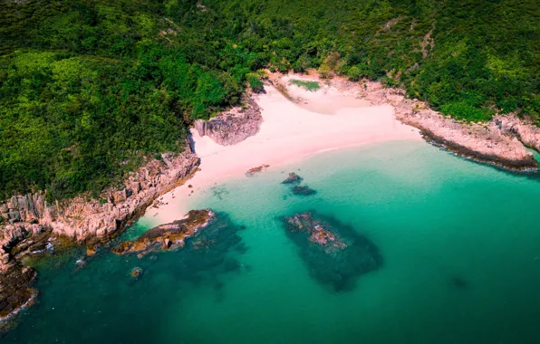Picture sea, greens, beach, summer, nature, shore, island