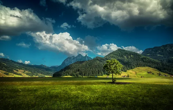 Picture field, forest, grass, clouds, mountains, tree, HDR, Switzerland, houses