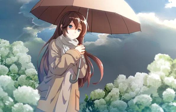 Picture girl, flowers, umbrella, hydrangea